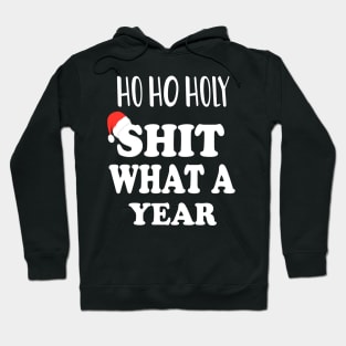 Ho Ho Holy Shit What A Year - Funny Christmas Gift 2020 Hoodie